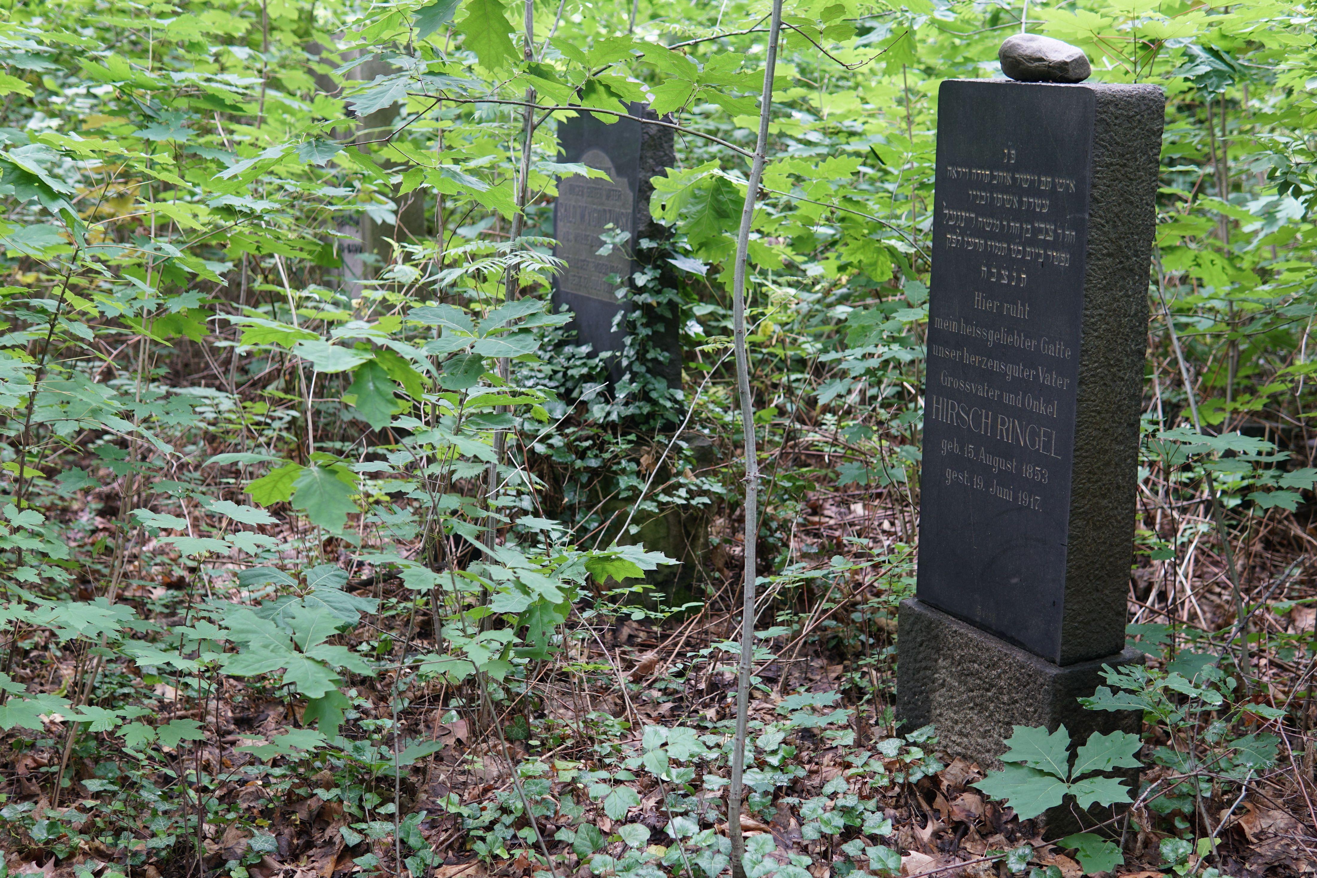 blog_img