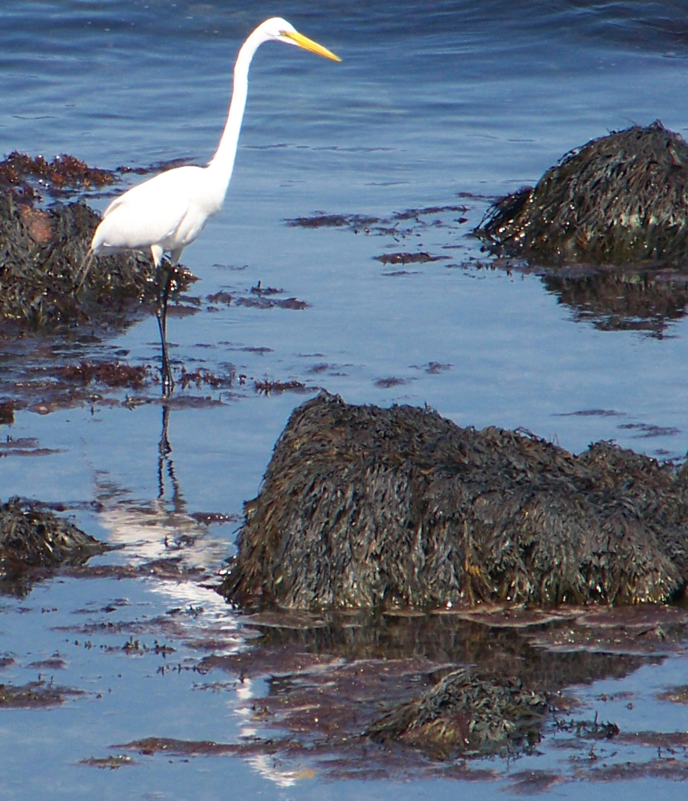 blog_img