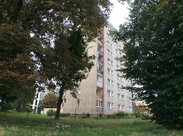 blog_img
