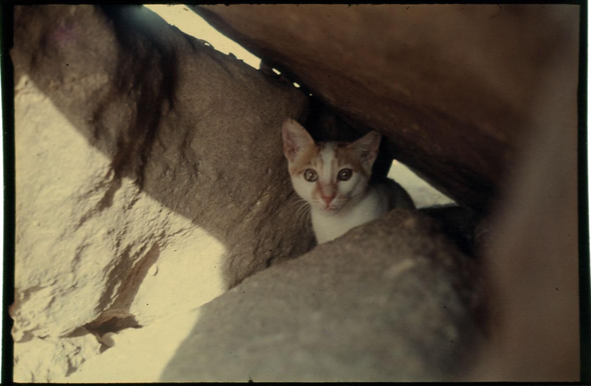 blog_img