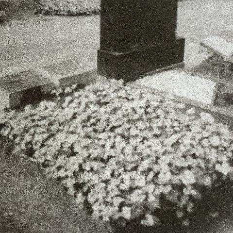 The tragic death of Minna and Hede