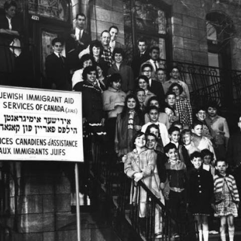 The North American Ringel branch