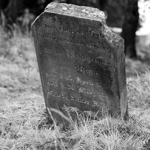 The early history of the Wohlgemuth family