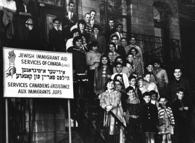 The North American Ringel branch
